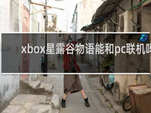 xbox星露谷物语能和pc联机吗