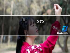xcx.csyoudian.com申请SSL证书，为什么一直
