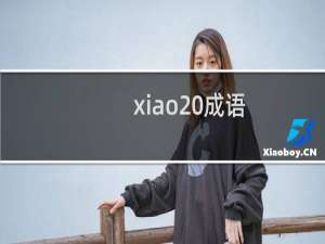 xiao 成语