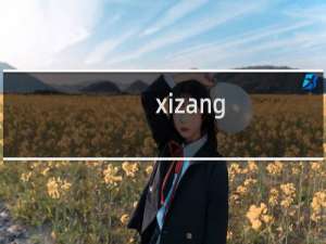 xizang.ink   5元注册 为何不能成功？