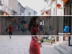 xl_chrome_plugin 需要您的许可才能运行