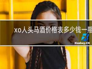 xo人头马酒价格表多少钱一瓶