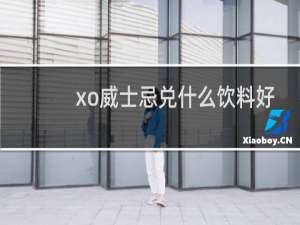 xo威士忌兑什么饮料好喝