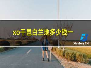 xo干邑白兰地多少钱一瓶