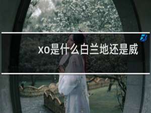 xo是什么白兰地还是威士忌