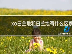 xo白兰地和白兰地有什么区别