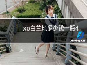 xo白兰地多少钱一瓶40度帕朗德