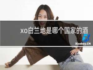 xo白兰地是哪个国家的酒