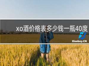 xo酒价格表多少钱一瓶40度
