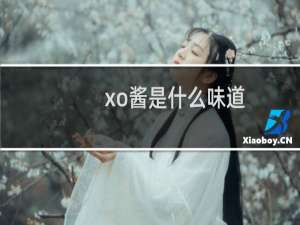 xo酱是什么味道