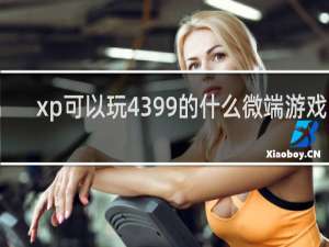xp可以玩4399的什么微端游戏吗