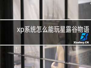 xp系统怎么能玩星露谷物语