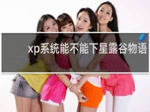 xp系统能不能下星露谷物语