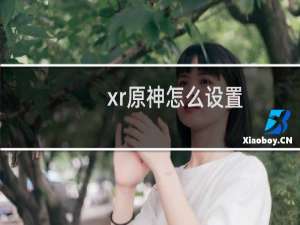 xr原神怎么设置