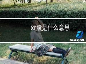xr股是什么意思