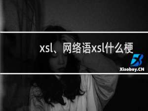 xsl、网络语xsl什么梗