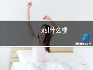 xsl什么梗