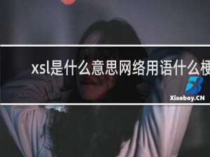 xsl是什么意思网络用语什么梗