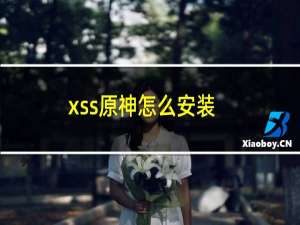 xss原神怎么安装