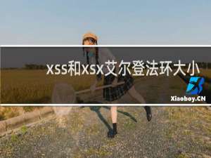 xss和xsx艾尔登法环大小