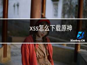 xss怎么下载原神