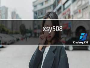 xsy508.com域名实名认证证件编号需修改