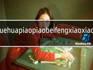 xuehuapiaopiaobeifengxiaoxiao什么梗