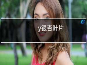 y银杏叶片
