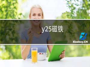 y25磁铁
