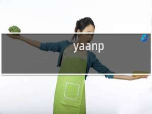 【yaanp】免费yaanp软件下载