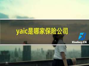 yaic是哪家保险公司