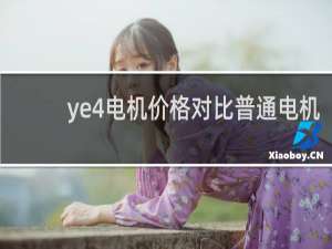 ye4电机价格对比普通电机