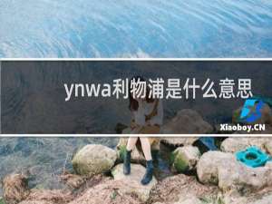 ynwa利物浦是什么意思（ynwa是哪个球队）什么梗