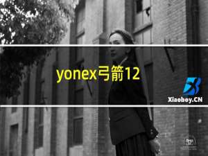 yonex弓箭12