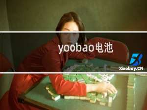 yoobao电池