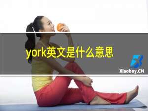 york英文是什么意思