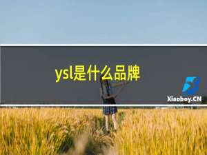 ysl是什么品牌