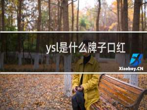 ysl是什么牌子口红