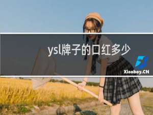 ysl牌子的口红多少钱一支（ysl是什么牌子的口红）