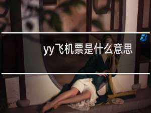 yy飞机票是什么意思