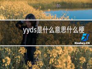 yyds是什么意思什么梗
