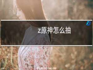 z原神怎么抽