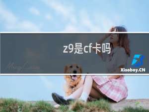 z9是cf卡吗
