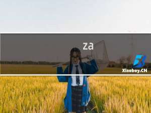 za/a苹果手机什么版本（苹果手机zd/a是什么版本）