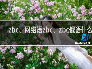 zbc、网络语zbc、zbc俄语什么梗