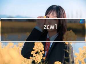 zcw1.com 请开通转出功能