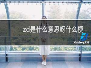 zd是什么意思呀什么梗