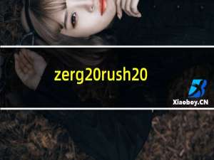 zerg rush 片假（zerg rush）
