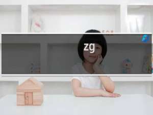 zg.pfcx.net解析了为什么访问不了呢？