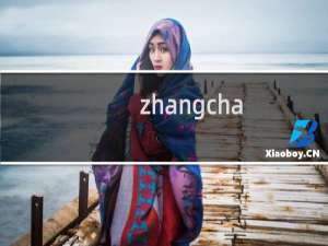zhangcha.com又打不开哦，服务器好差，没法用
